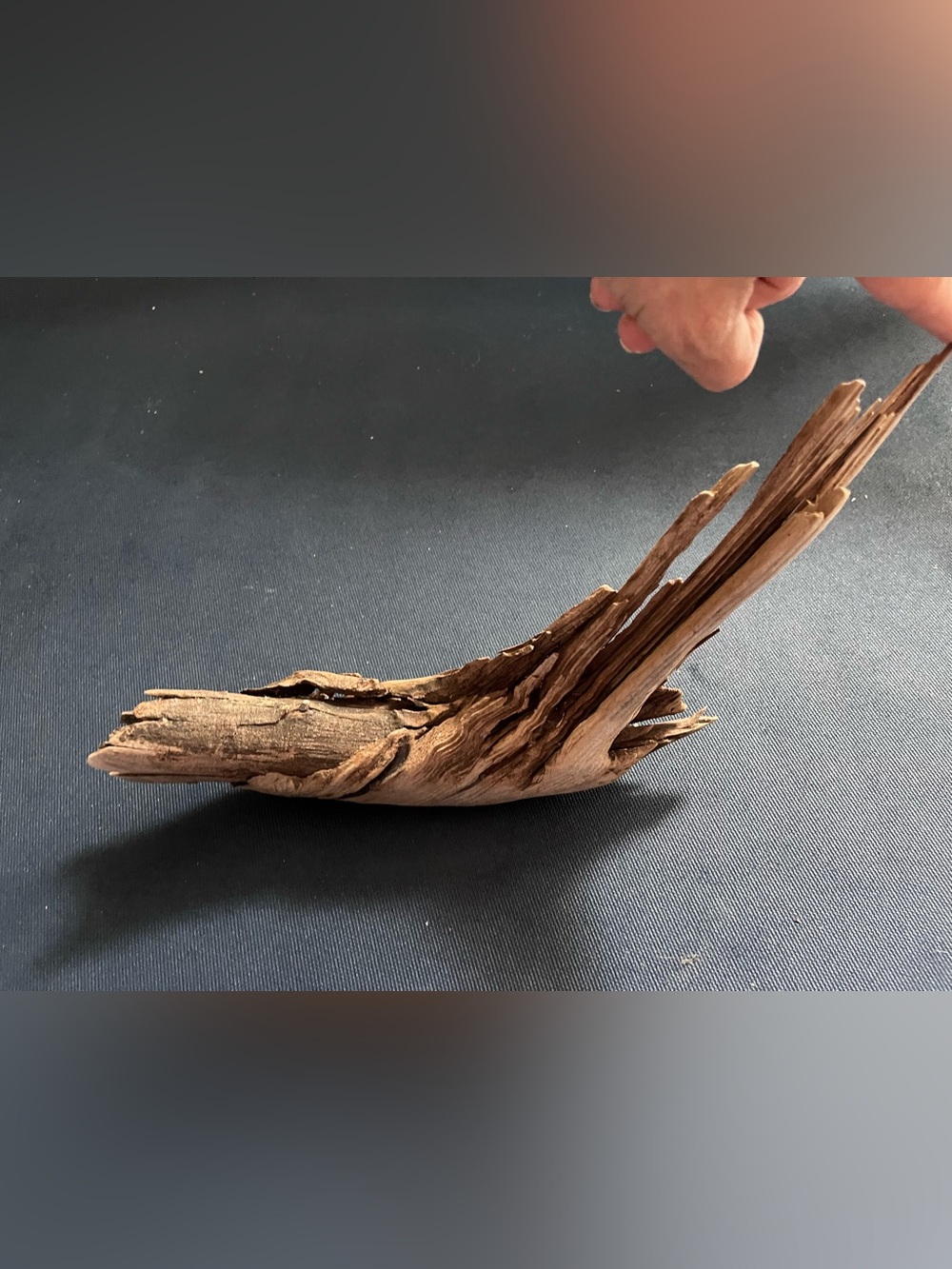 AQUARIUM driftwood decor NY East Coast fresh water crafting reptile enclosure